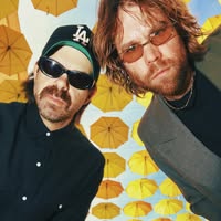 The Darcys