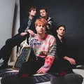 The Velvet Hands