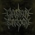 Cerebral Effusion