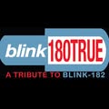 Blink180TRUE