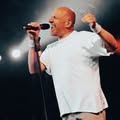 No Jacket Required