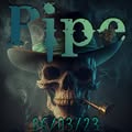 Pipe