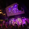 Wake Up and Live - A Bob Marley Tribute