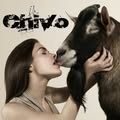 CHIVO