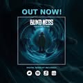 BLIND MESS