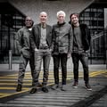 Yellowjackets