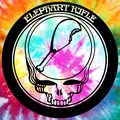 Elephant Rifle