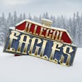 The Illegal Eagles