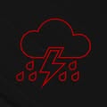 Vicious Rain