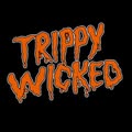 Trippy Wicked and the Cosmic Children of the Knight