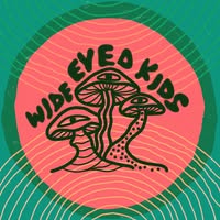 The Wide Eyed Kids