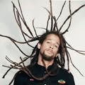 Predator Dub Assassins