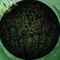 Ayahuasca