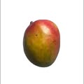 MALAKA_sl