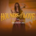 Hounds Of Love - The Kate Bush Celebration