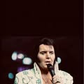 A Vision of Elvis