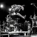 The Casualties