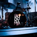 Bury Mia