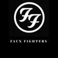 Faux Fighters Tribute Band