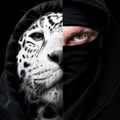 Jaguar Skills