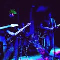 Black Cat Rising