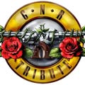 GN'R TRIBUTE