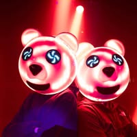 Polar Bears