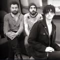 Dead Leaf Echo