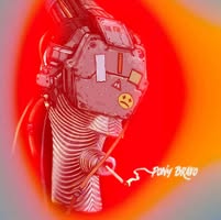 Pony Bravo