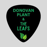 Donovan Plant