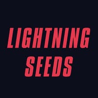 Ian Broudie and the Lightning Seeds