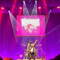 The Wildflowers
