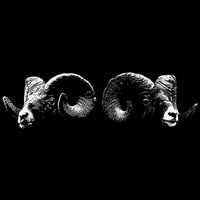DUB SHEPHERDS