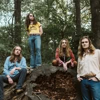 THE BAND FEEL