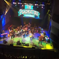 The Peacheaters An Allman Brothers Band Experience