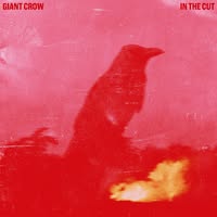 Giant Crow