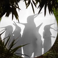 Penguin Cafe Orchestra