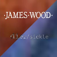 James Wood