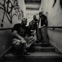 Heavy//Hitter