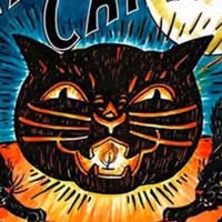 X Ray Cat Trio