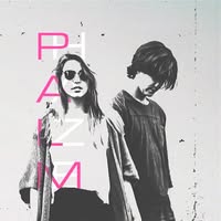 Palm Haze