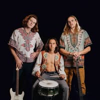 Band of Gringos