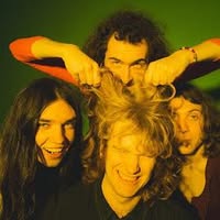 The Love Buzz