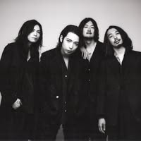 THE NOVEMBERS