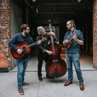 The Tennessee Warblers