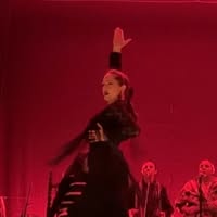 Oleaje Flamenco