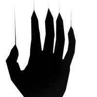 Kite