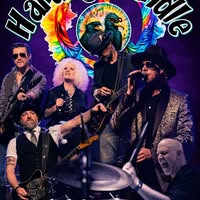 Hard 2 Handle - The Black Crowes Experience