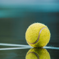 Tennis Courts