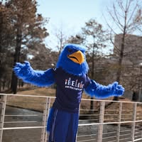 Image not found